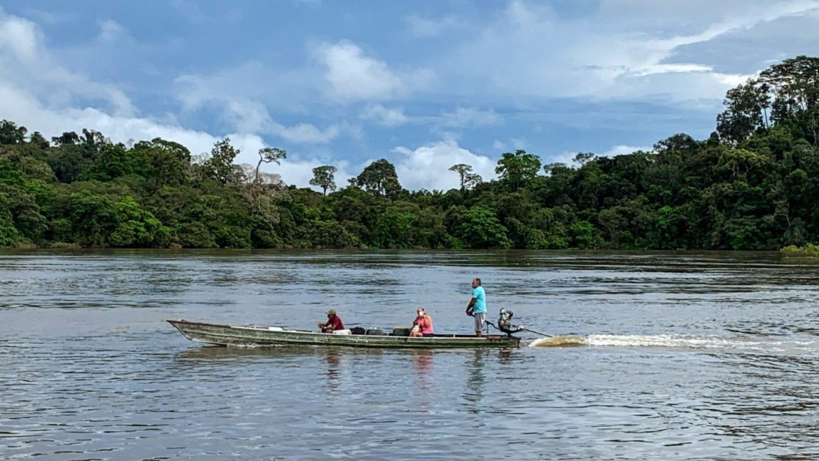 Mensaje a la Iglesia brasileña: «que la naturaleza “repose” de la explotación»